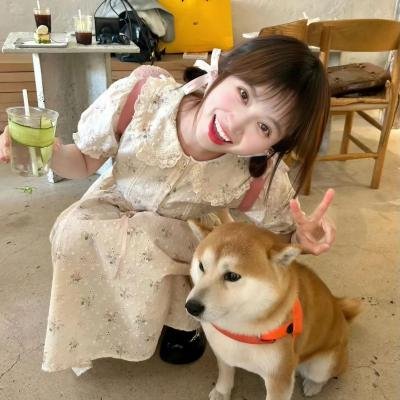 龙无目 在线观看